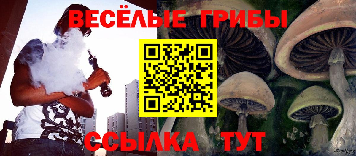 АМФЕТАМИН Канаш