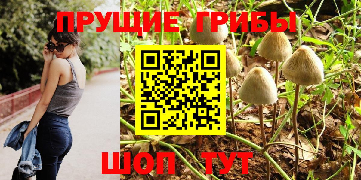 Псилоцибиновые грибы мухоморы  Вход с VPN  Канаш  Галлюциногенные грибы GOLDEN TEACHER 